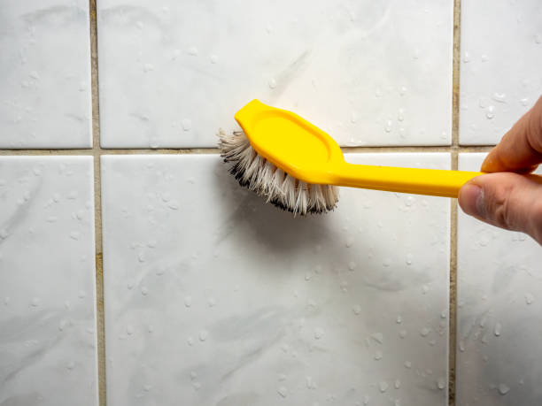  Ridgefield Park, NJ Mold Removal Pros